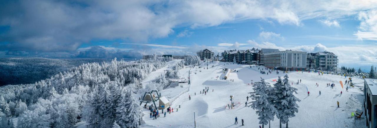 Stroll To Slopes, Village Area, Ski In-Out Mtlodge 304 Snowshoe Buitenkant foto